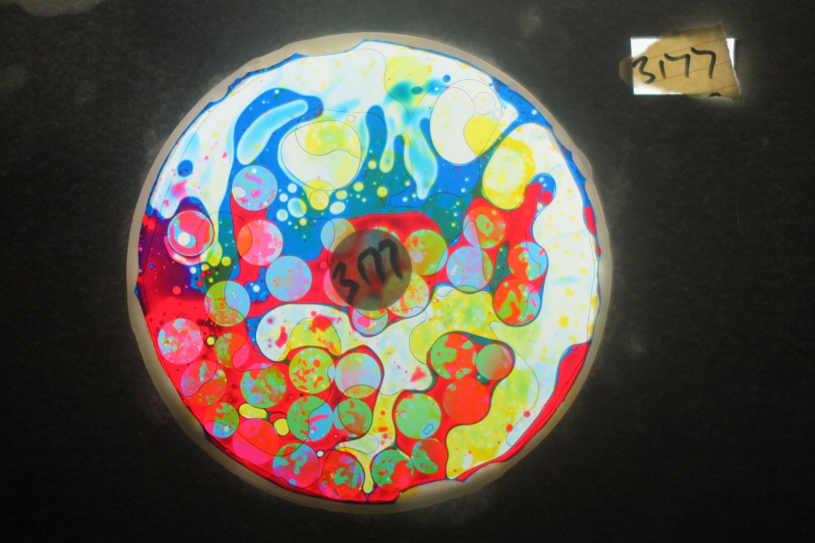 BV3177 bubble vision oil wheel